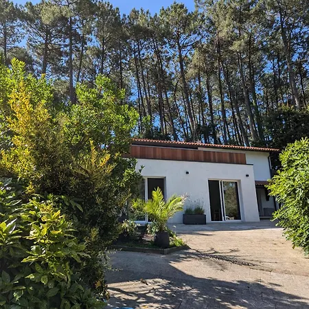 Nid Douillet Sous Les Pins *